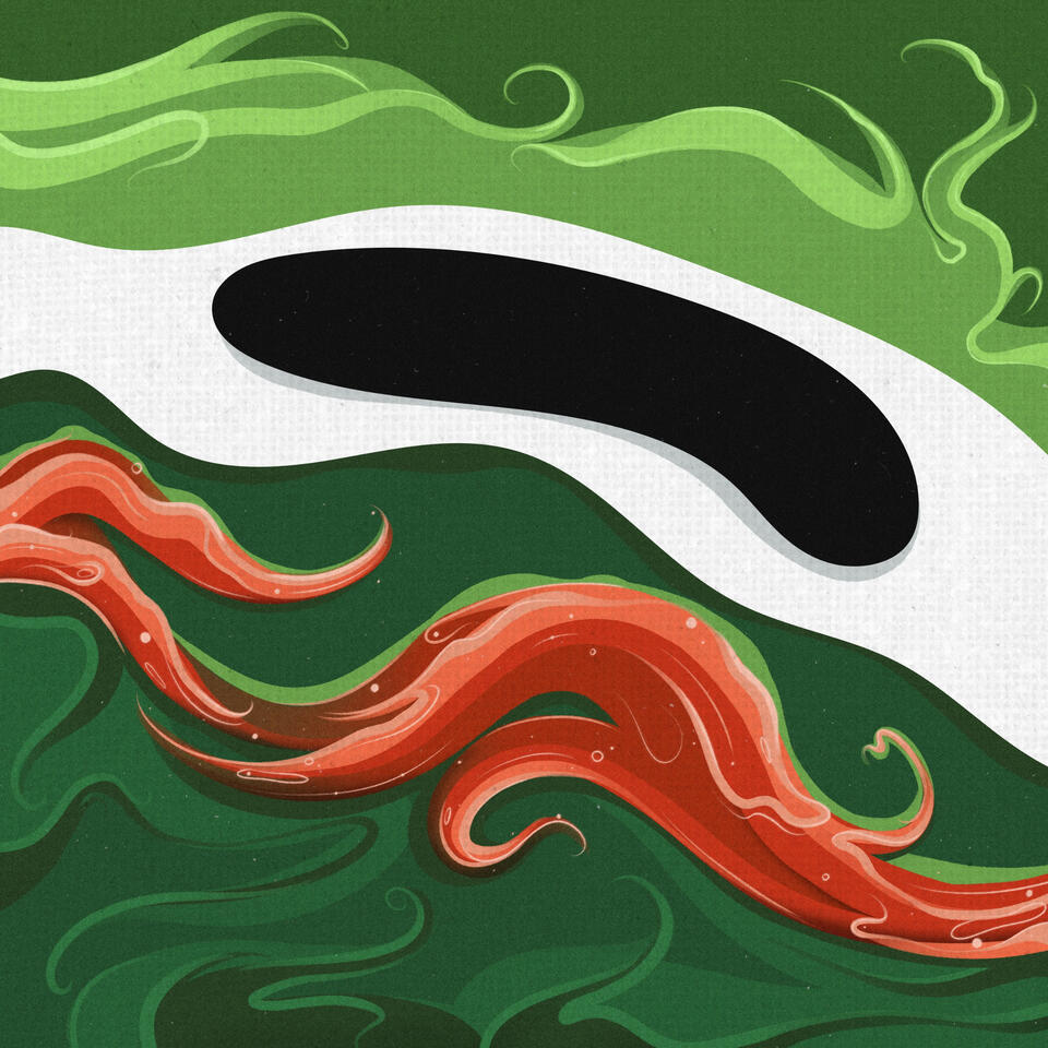 "Pepe"